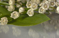 Offener Brief zum Aufruf des DGB zur 1. Mai-Kundgebung 2024