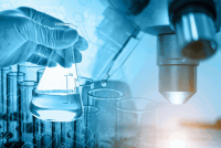 Wissenschaft in der Verantwortung