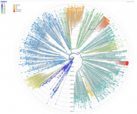 Warum funktioniert die Impfung nicht?