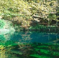 Morgenstund hat Gold im Mund