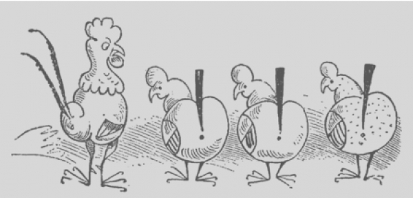Vogelgrippe(pandemie) im Anmarsch ?