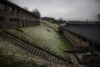 Naomi Wolf: "Wir haben Schritt zehn auf dem Weg zum Faschismus erreicht"