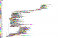 Warum die C-Pandemie scheinbar nicht aufhört