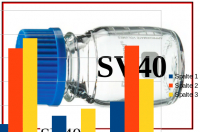 SV40 und die Künstliche Intelligenz
